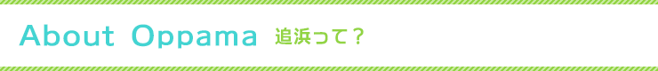 追浜って?