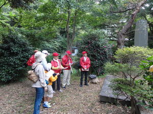 DSC00773.jpg